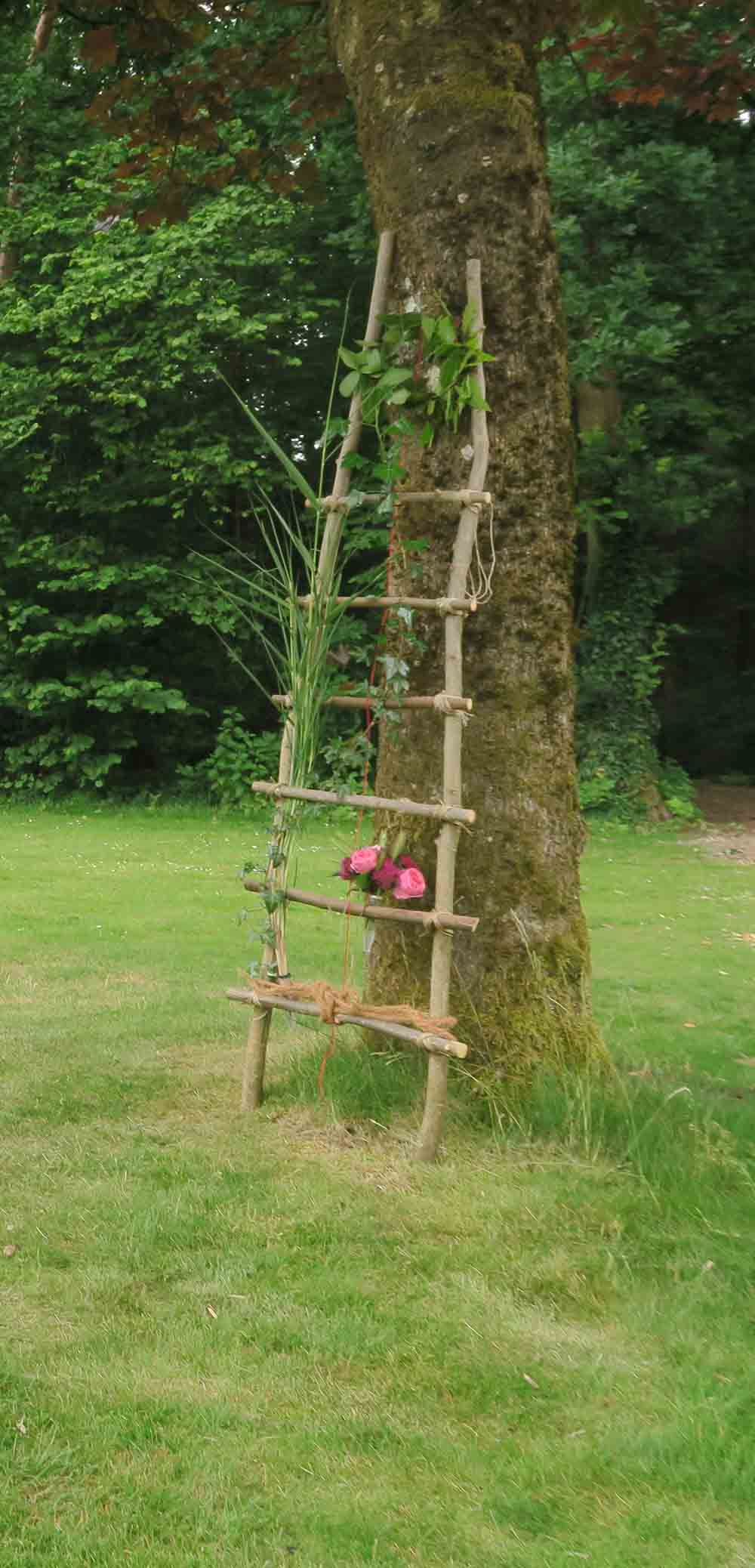 trap van ontwikkeling